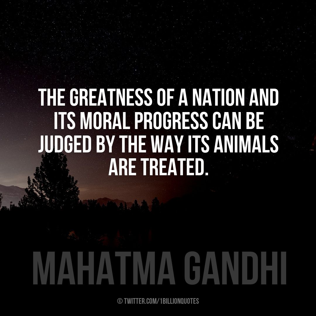 1billionquotes's tweet photo. The greatness of a nation and its moral progress can be judged by the way its animals are treated. #quotes  #shopping #smile #creativity ... https://t.co/Xj5XYz3vzP