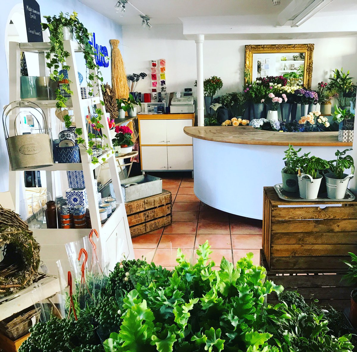 Plans are underway for the reopening of little shops like Blue Florist. We’ve had to do some major moving of layout but we’re getting there!