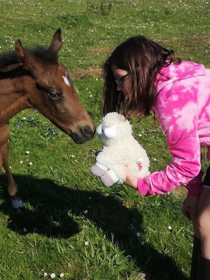 2nd Holyhead Guides tweet media