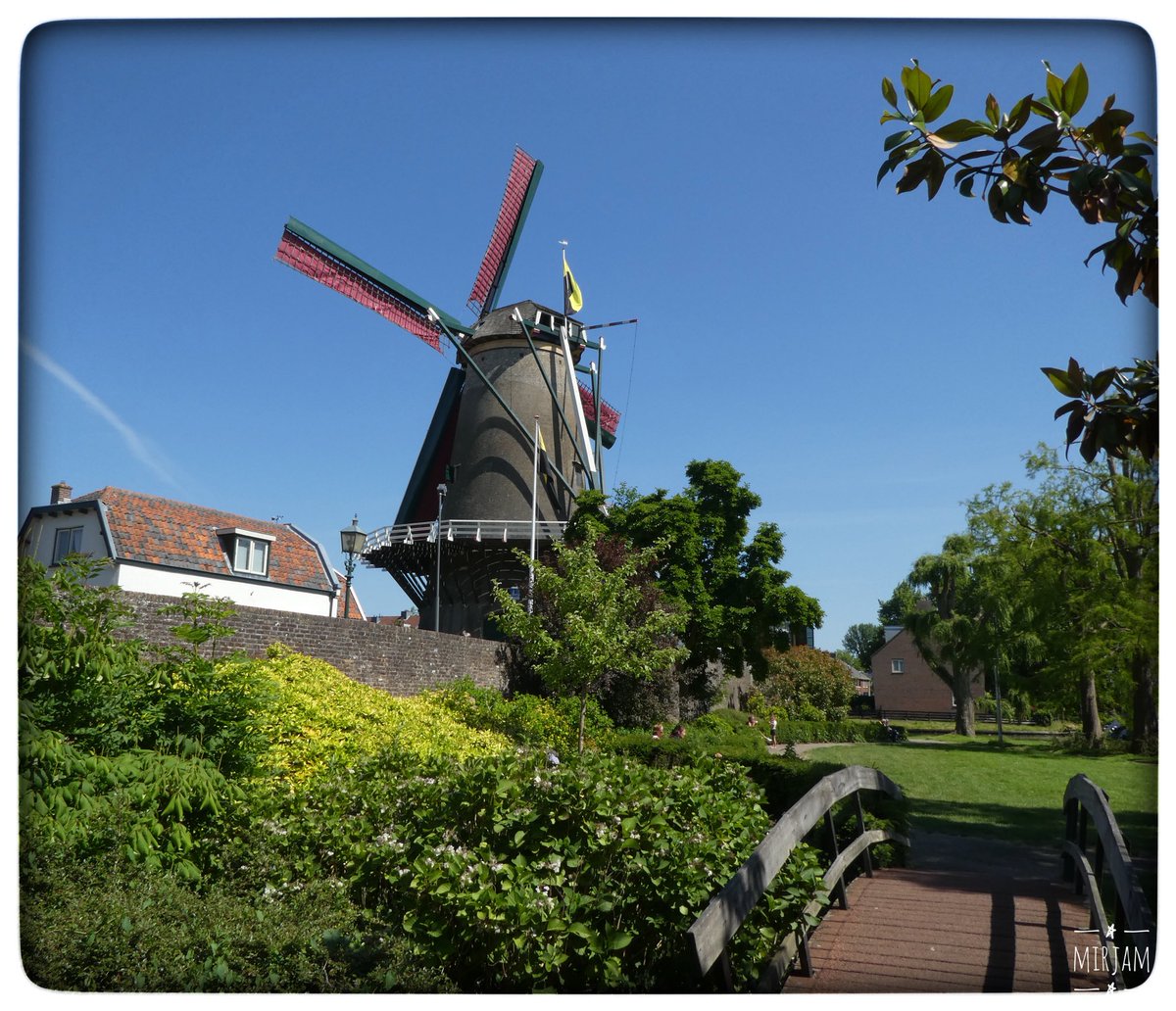 adriana57's tweet photo. Goedemorgen, gisteren gewandeld door #IJsselstein o.a. langs deze mooie, nog in werking zijnde, #Korenmolen de #Windotter, nog een fijne dag🙋🏻♀️🌞 https://t.co/k97L8d8Gmo