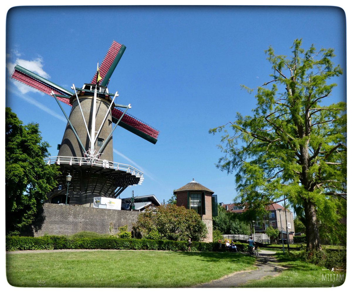 adriana57's tweet photo. Goedemorgen, gisteren gewandeld door #IJsselstein o.a. langs deze mooie, nog in werking zijnde, #Korenmolen de #Windotter, nog een fijne dag🙋🏻♀️🌞 https://t.co/k97L8d8Gmo