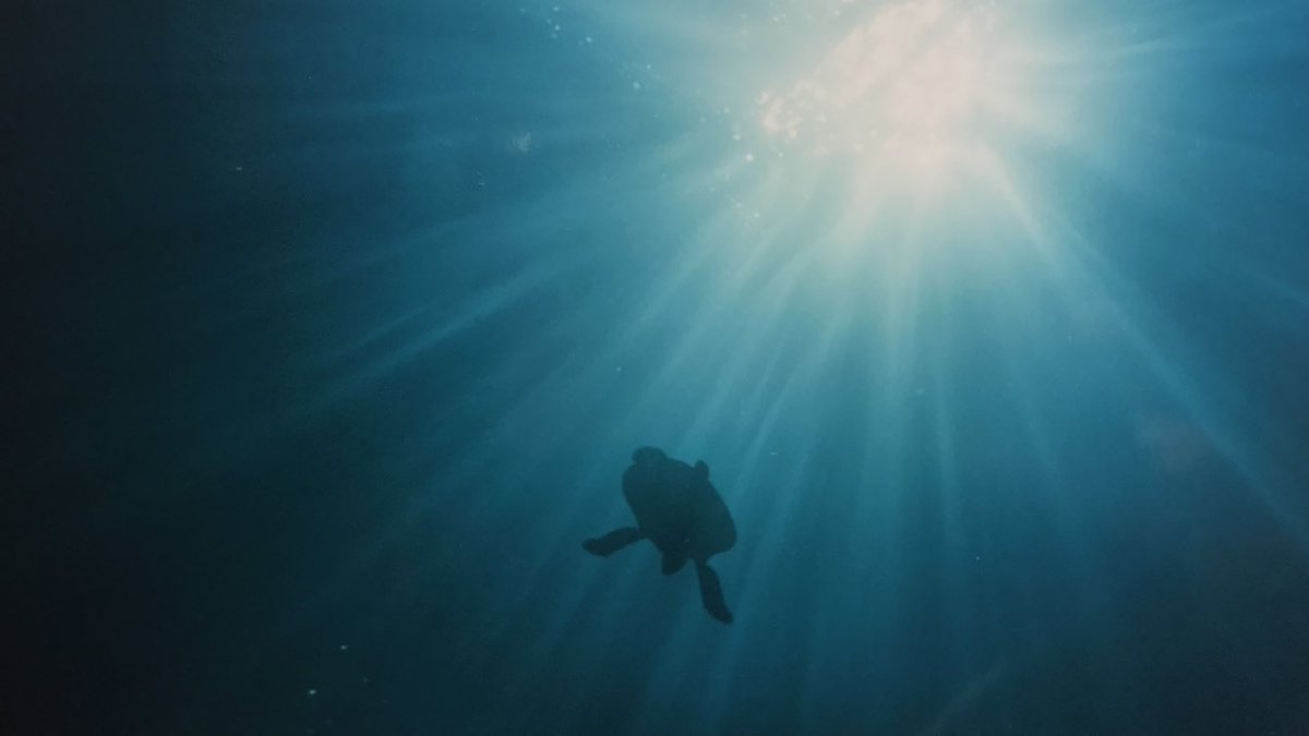 KDubno's tweet photo. @AKatrynicz Day 3 of 7     #mylifeinpictures https://t.co/PO6RdMeQiu