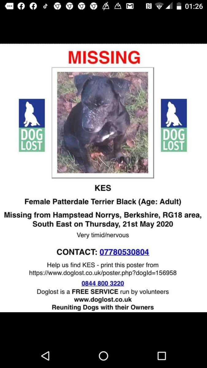 coldashparish (@coldashparish) on Twitter photo 