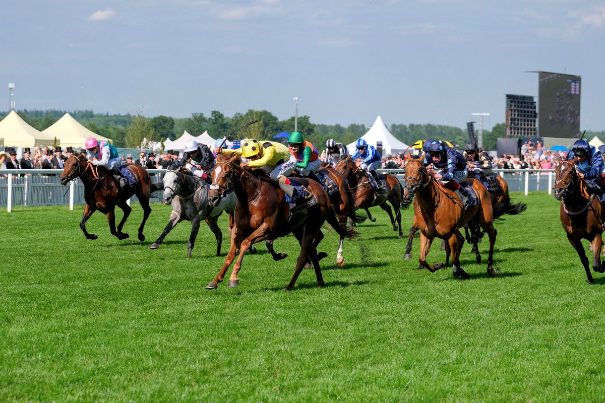 Racing is back! We are delighted racing is returning on Monday and would like to wish all our clients the very best of luck for the 2020 season 🐎 🚜 #CotswoldFed #CotswoldBed #Hay #Straw #Shavings #HorseRacing #CotswoldForage
