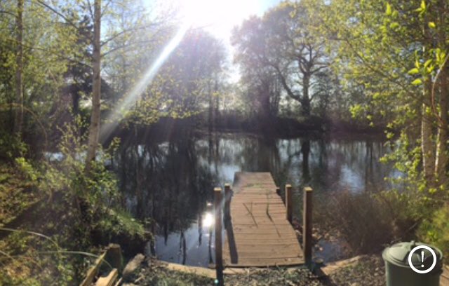 Jim Marner tweet media