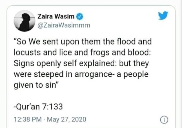 irenaakbar's tweet photo. So they trolled  #ZairaWasim for quoting a verse about locusts from the Quran. They still can’t get over a successful Muslim girl quitting acting to focus on Islam. Their problem is Islam. Their bigger problem is a Muslim woman (whom they pretend to ‘save’) loving Islam publicly. https://t.co/QRCW5nfmqR