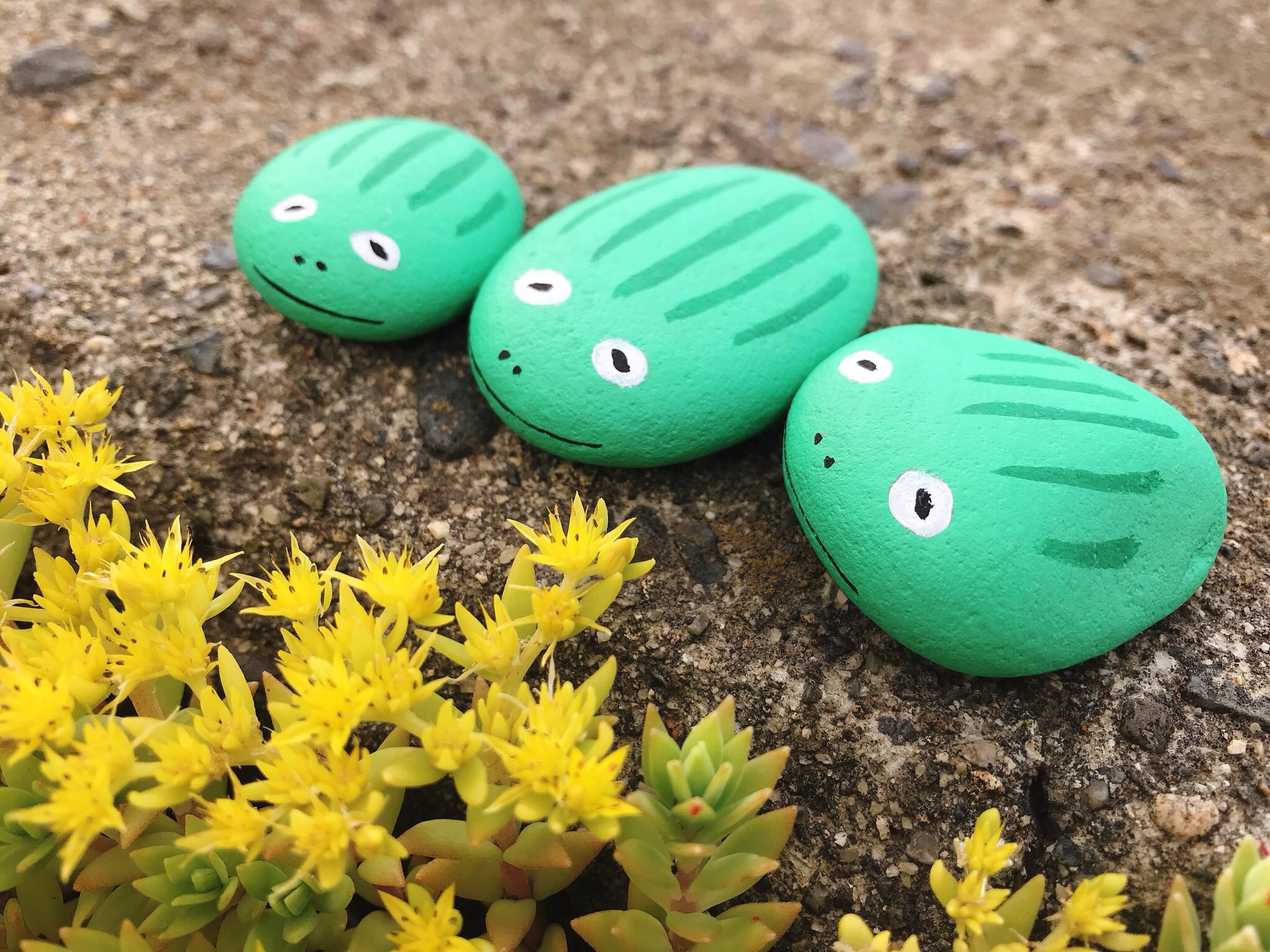 石ころアート3個 フラワー＆ストーンペインティング 雑誌