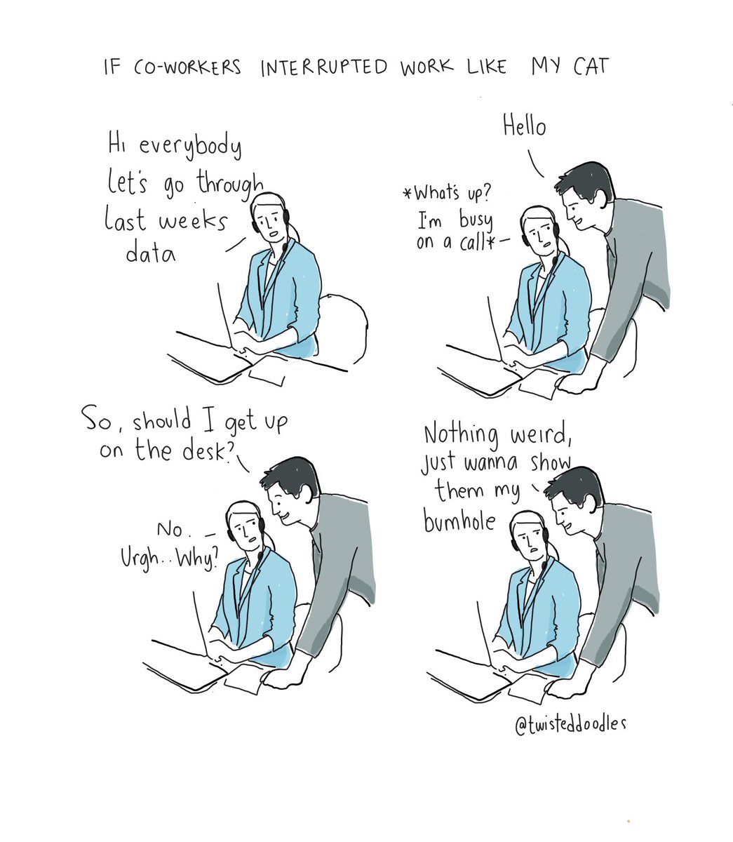If co-workers were like my cat: conference call #WorkFromHome