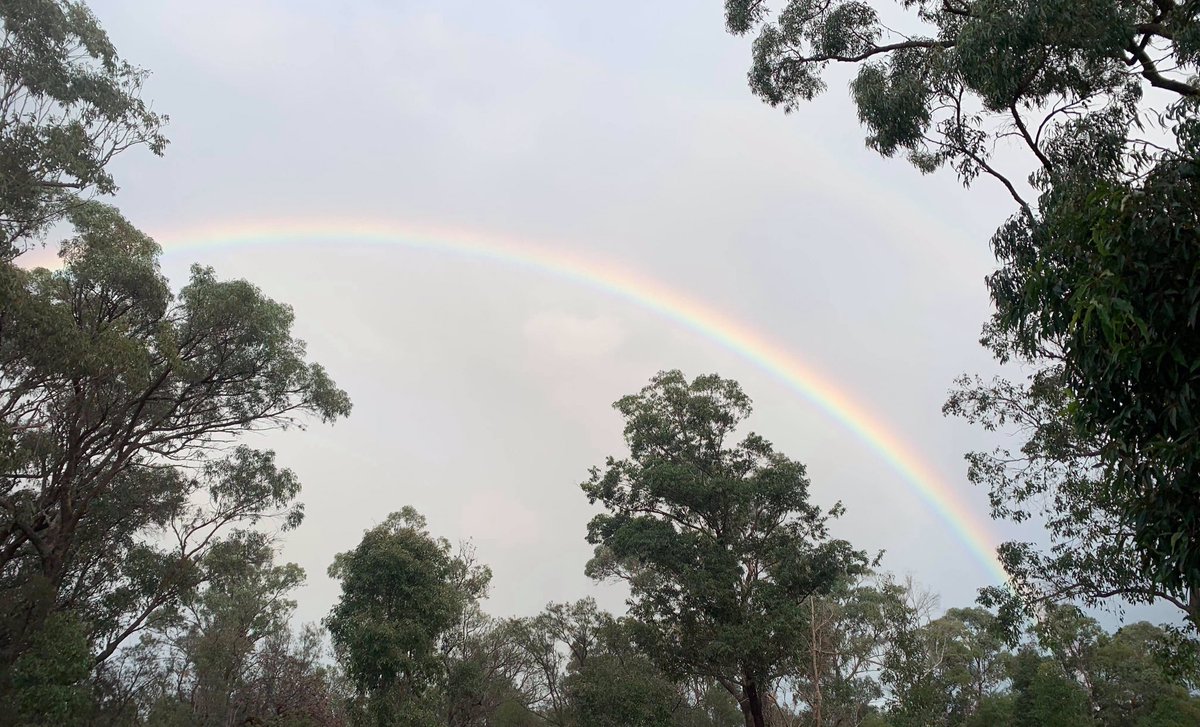 Proud, happy Perth West Australian Peakers getting in their 2020, plus some, steps for the #MPCvirtualGALA #MPC2020  #SamHeughan #MyPeakChallenge <a href="/SamHeughan/">Sam Heughan</a> <a href="/MyPeakChallenge/">My Peak Challenge</a> <a href="/auspeakers/">AussiePeakers</a> Follow the rainbow!