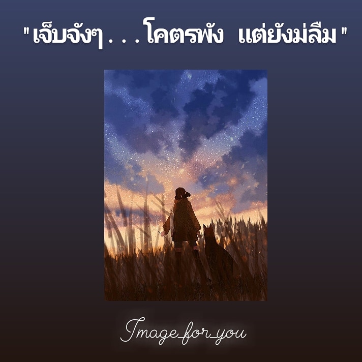 imageforyou1's tweet photo. ฝากติดตามด้วยน่างับ 
@my_image_for_you_ 
#แคปชั่นเหงา #เจ็บจัง #เเคปชั่นเศร้า #เห้อ #เศร้าใจ #เเคปชั่นเศร้า 
#คิดถึงนะ #คิดถึง #รักนะ #เจ็บที่ยังรู้สึก #คำคม
https://t.co/zmX6icbLVW https://t.co/CKvhmPKWER