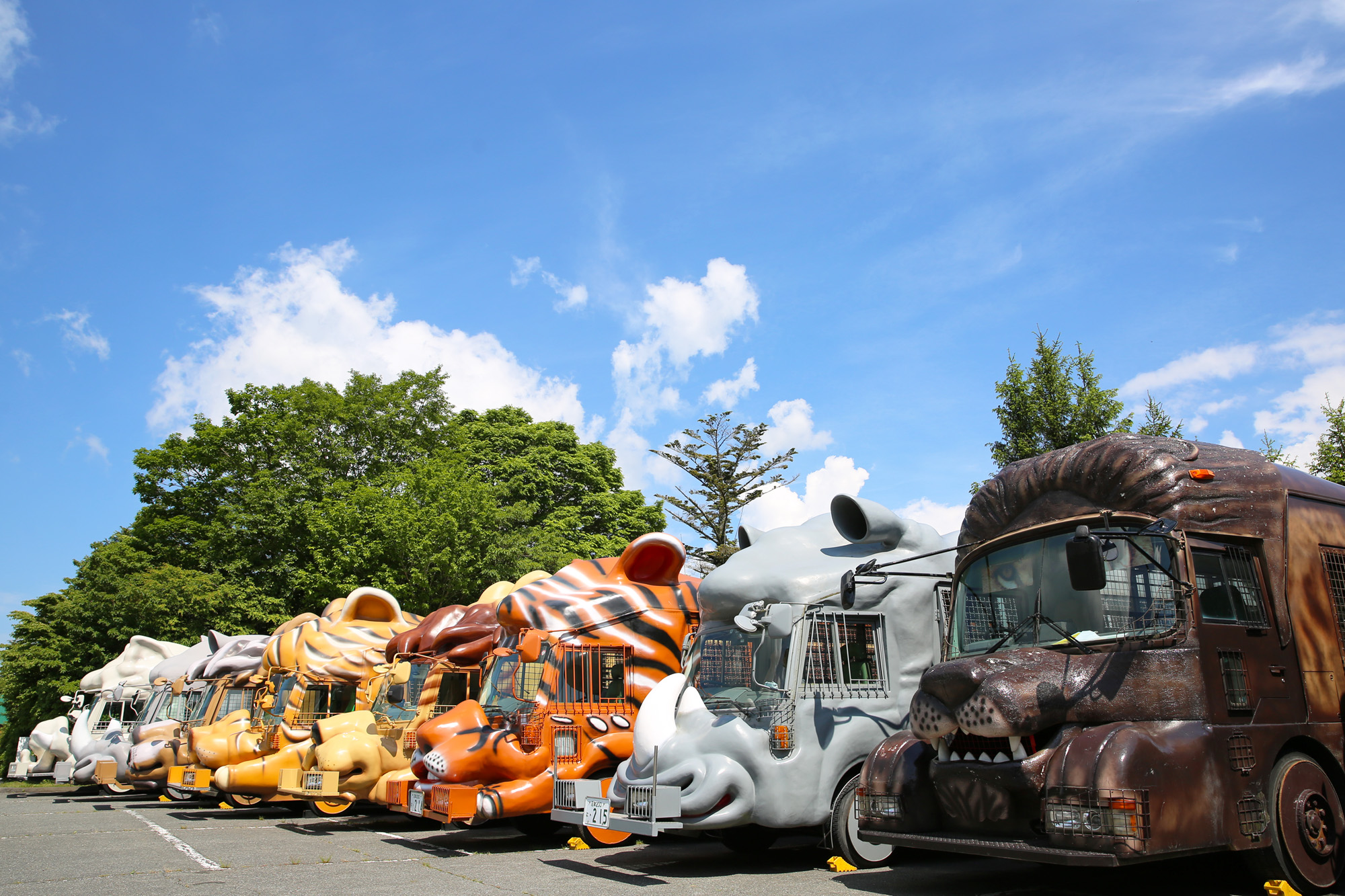 富士サファリパーク公式 on Twitter