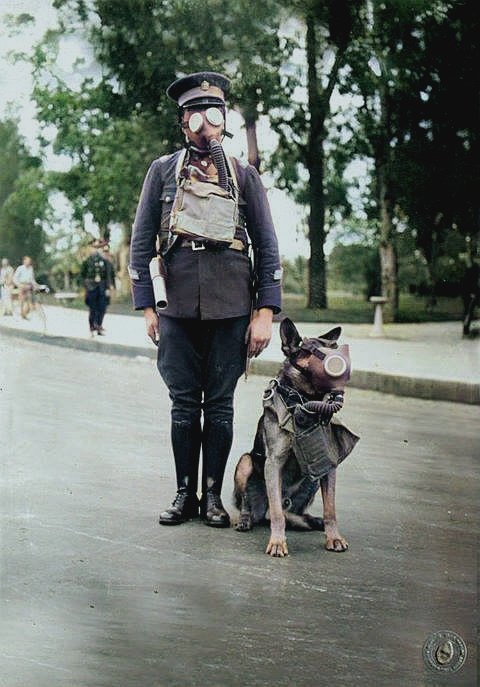 FColorizadas's tweet photo. ARG-1940

Policía Nacional https://t.co/ISlmToVOTo