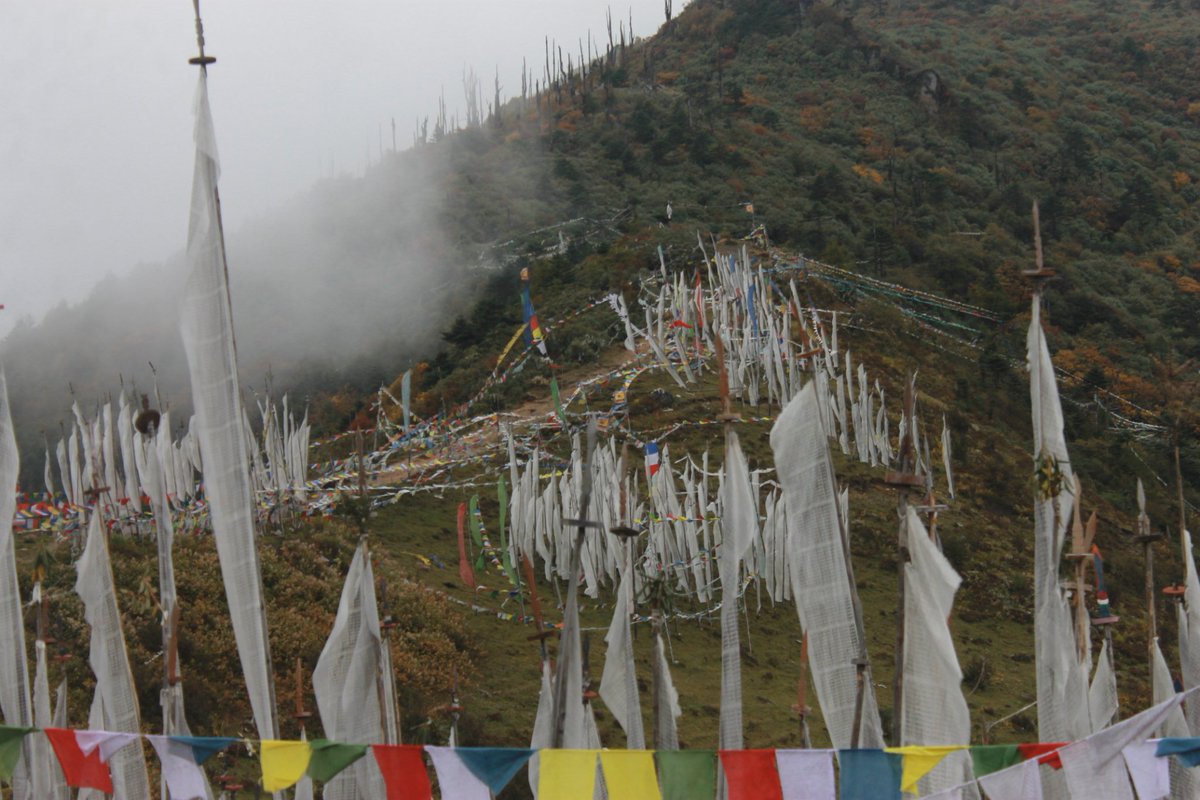 neethu_athul's tweet photo. The Chelela Pass is the highest motorable point in Bhutan! Walking among the thousands of prayer flags fluttering in the chilling breeze is just amazing!
.
https://t.co/0B59N2D55l
.
#bhutan #Himalayas #travelphotography #travel #travelblog #chelelapass #mountains #nature https://t.co/pOsXEWU1iY
