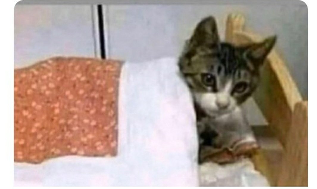 وش السالفة #وزاره_التعليم