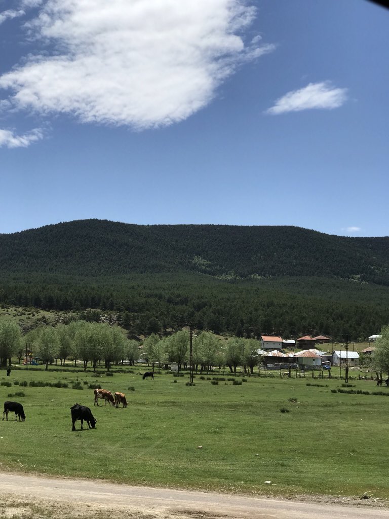 Günaydın güzel gözlüm ..
