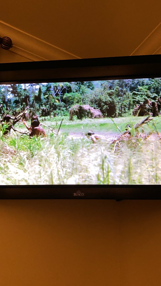 Just seeing #CannibalHolocaust playing ON TV - live - not from home video - just makes my ❤️ sing. Honestly getting a little emotional right now #MutantFam @Shudder @therealjoebob @kinky_horror @saveriodeodato @Robert_Kerman #TheLastDriveIn