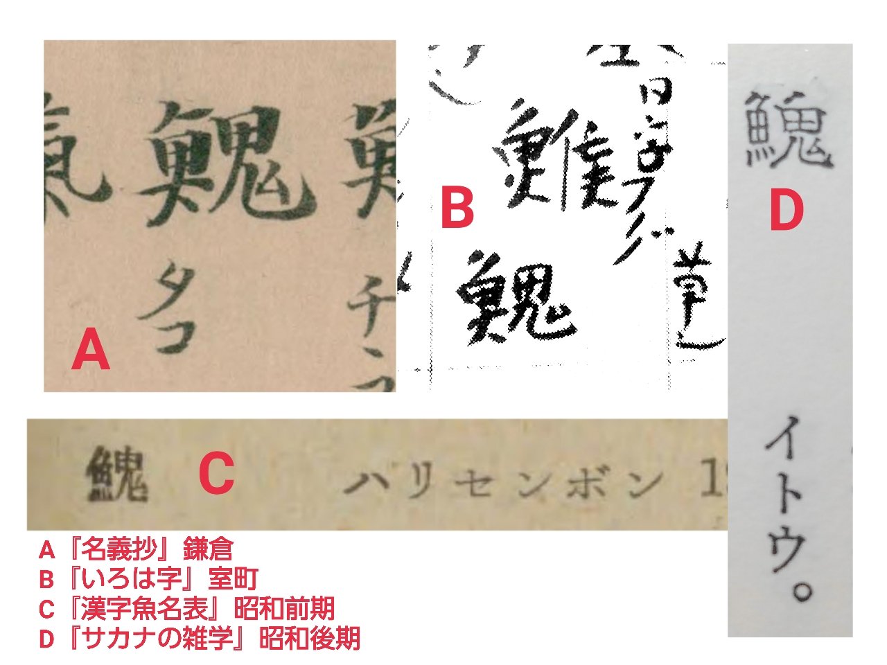 拾萬字鏡 日本では鎌倉時代に タコ 室町時代に フグ を表す字として 𩹷 が辞典に載っており さらに昭和期には ハリセンボン や イトウ を表す字として 日本語圏では何度も意味が変わっている T Co J3wuyjep6k Twitter