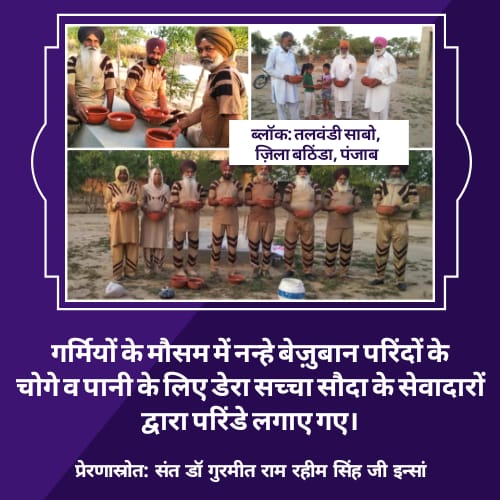 Soniainsan0997's tweet photo. #WelfareWorksInLockdown @Gurmeetramrahim https://t.co/AgGz9pWRVq
