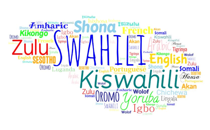 Africans also need to learn more African languages for trade and travel. Africa needs Language Institutes for major African languages like Kiswahili, Hausa, Zulu, Amharic, Lingala etc all over Africa, the same way we have English, Confucius, French, Spanish and German Institutes.