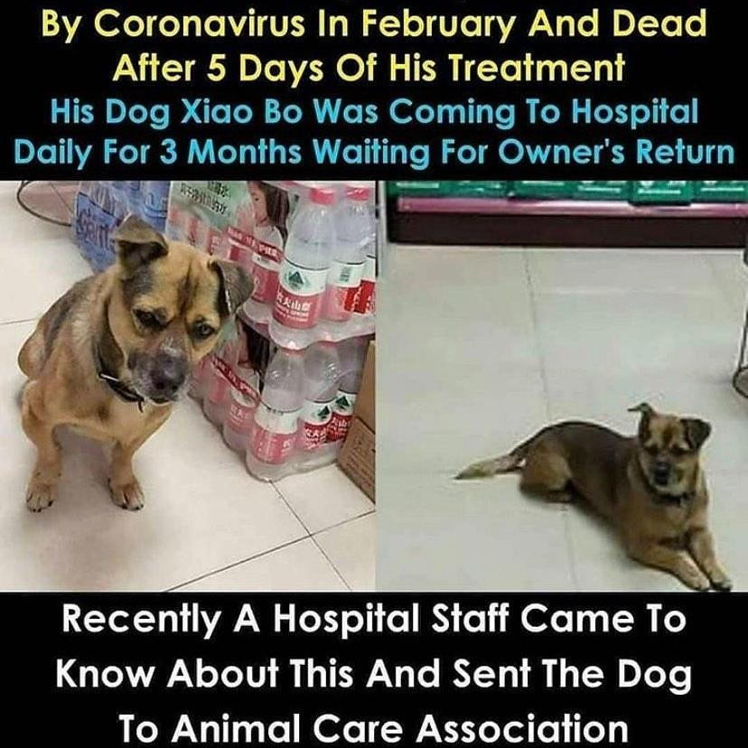 SherryDiya's tweet photo. #SherryandDiyaFoundation #animals #loveanimals #helpanimals #maggots #mazgaon #donateforgoodcause
@petaindia @malikbhaiofficial @manekagandhibjp
@animalaid_india @nidhitiwari1995
Toll free number
18001231137 https://t.co/1xnrcKRBJA