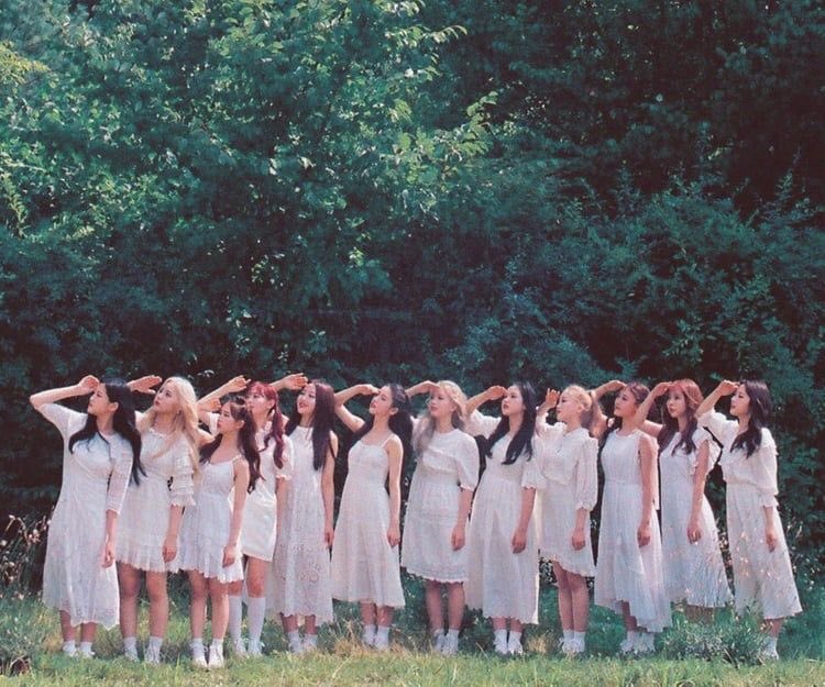4. Loona (Blockberry creative)Loona’s famously known for their aesthetic concept and mv theories. Their songs tell people stories that are connected in this so called “loonaverse”. Every member has their own solo release but please listen to Hi High first, that song is so cute.