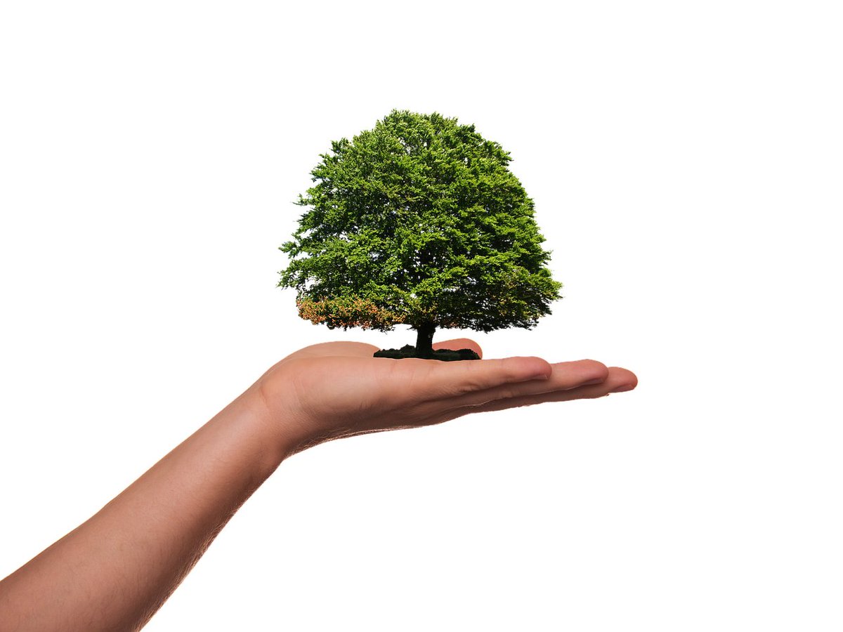 news_scraper's tweet image. #Saving vs #Investing? Most people find that 10% gross only yields an 8% net. On the savings side…you don’t need to squirm when it comes to lower interest #rates. 

newsscraper.com/saving-vs-inve…