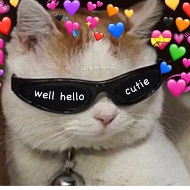 liju_LFN's tweet photo. @Dalihua_LFN จะเป็นอะไรล่าาา พี่ขาน่ะเป็นคนน่ารักของจูมาตั้งนานแล้วนะ!🥺💕✨ หึ่ยย จะแข่งกับจูเหรอ! ที่พี่ขาน่ารักไม่เท่าจูก็เพราะพี่ขาน่ารักกว่ายังไงล่า น่ารักระดับจักรวาล🌌🌈💗💖 https://t.co/bOzh2moHEG