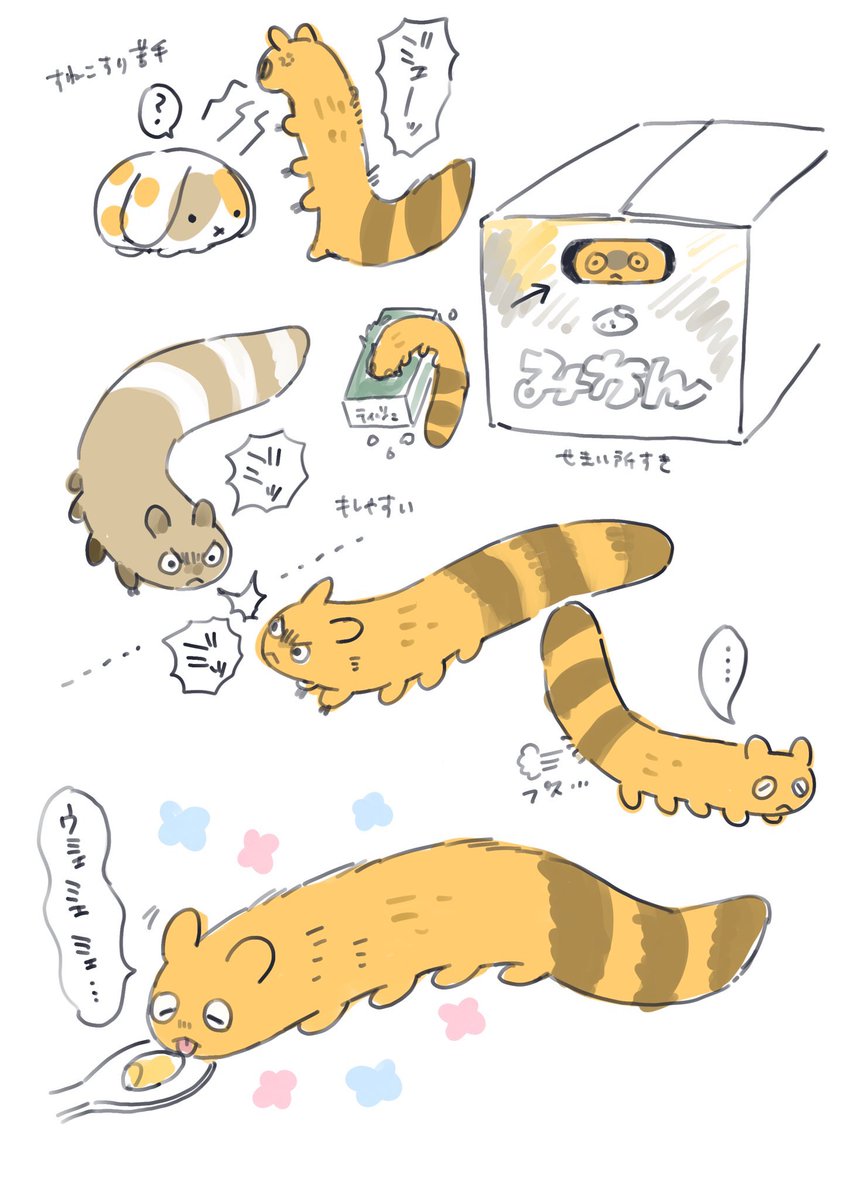 たぬ 