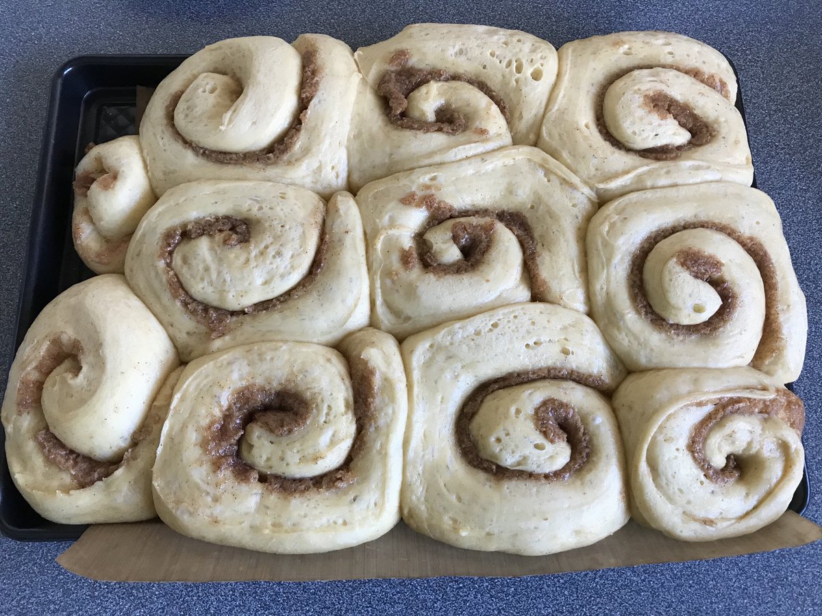 HelenT_tax's tweet photo. Thereโs #batchbaking (where things should touch) and then thereโs somewhat-overproved-mosh-pit-of-buns #sourdough #cinnamonrolls https://t.co/jmlRzJ4Z9J