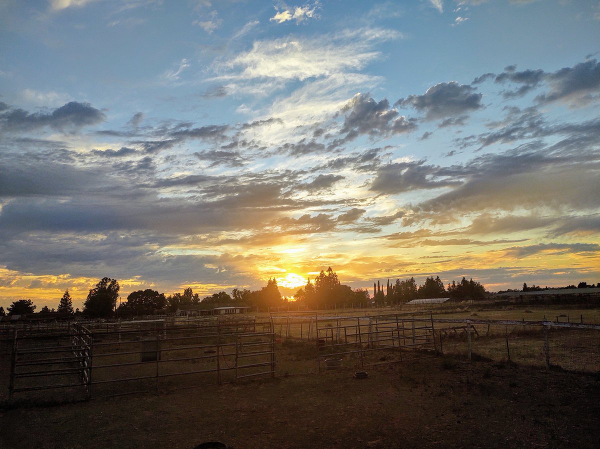 JillianMachovec's tweet photo. Happy Senior Sunset everyone.
With love,
Jillian
#seniorsunset #seniorsunset2020 #seniors2020 #classof2020 #celebrateathome #thatssosheldon #togetherathome #sheldonhighschool #distancelearning https://t.co/ZAq9ssW3Hs