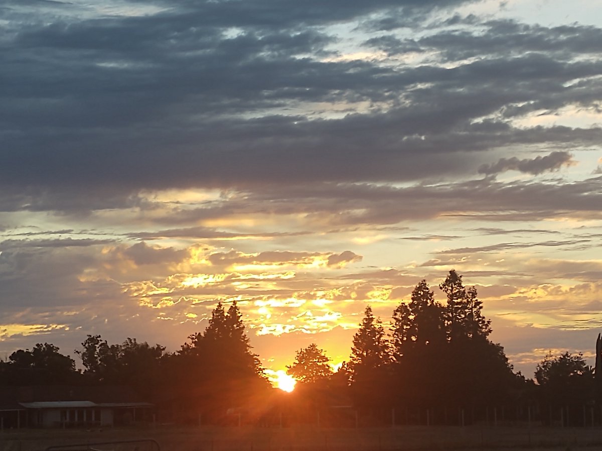JillianMachovec's tweet photo. Happy Senior Sunset everyone.
With love,
Jillian
#seniorsunset #seniorsunset2020 #seniors2020 #classof2020 #celebrateathome #thatssosheldon #togetherathome #sheldonhighschool #distancelearning https://t.co/ZAq9ssW3Hs