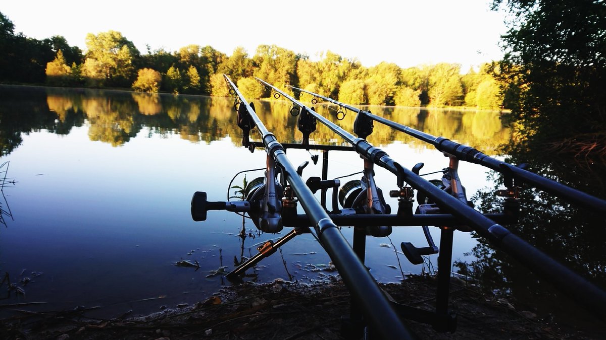 2Sebius's tweet photo. Good morning
#teammukus
#carp
#peche #carp #carpe #boilies #nokill https://t.co/Pj1D8yIGn4