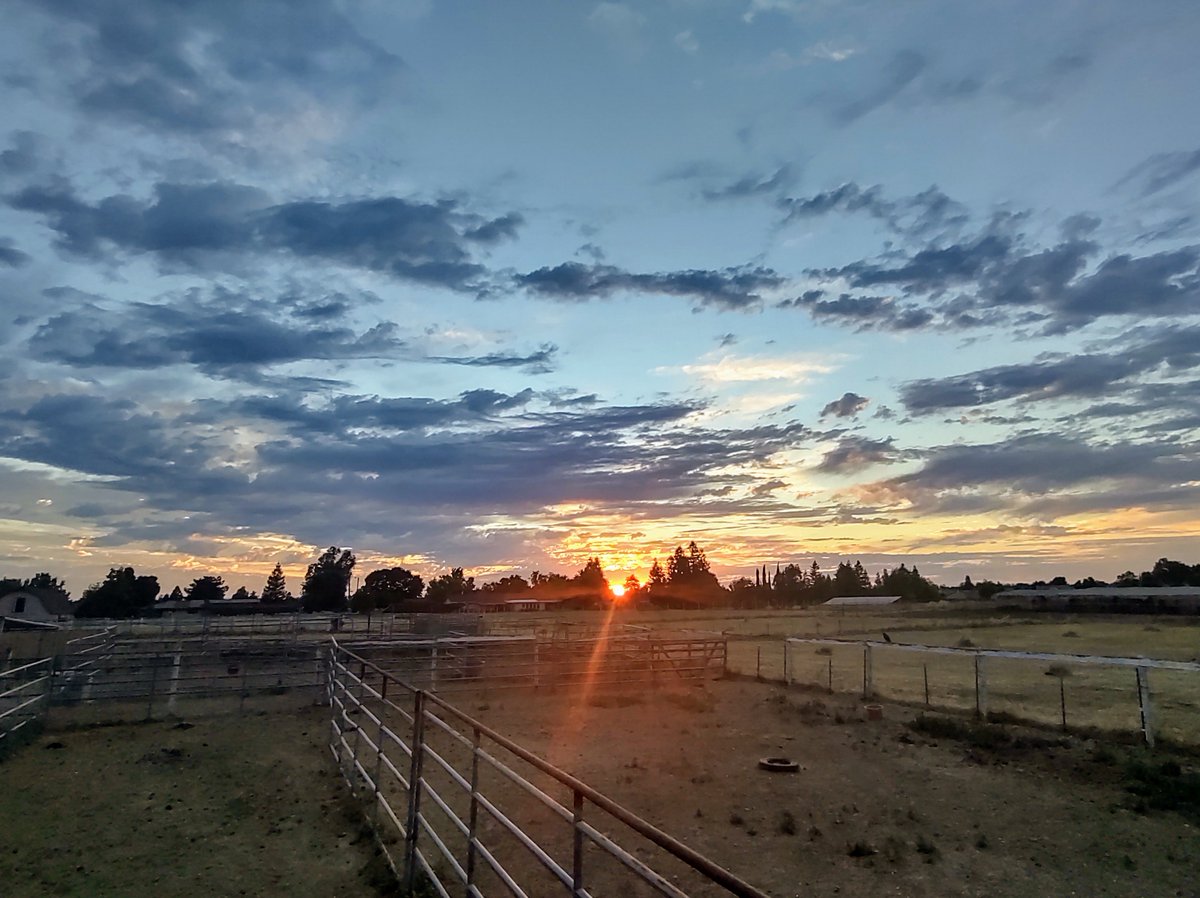 JillianMachovec's tweet photo. Happy Senior Sunset everyone.
With love,
Jillian
#seniorsunset #seniorsunset2020 #seniors2020 #classof2020 #celebrateathome #thatssosheldon #togetherathome #sheldonhighschool #distancelearning https://t.co/ZAq9ssW3Hs