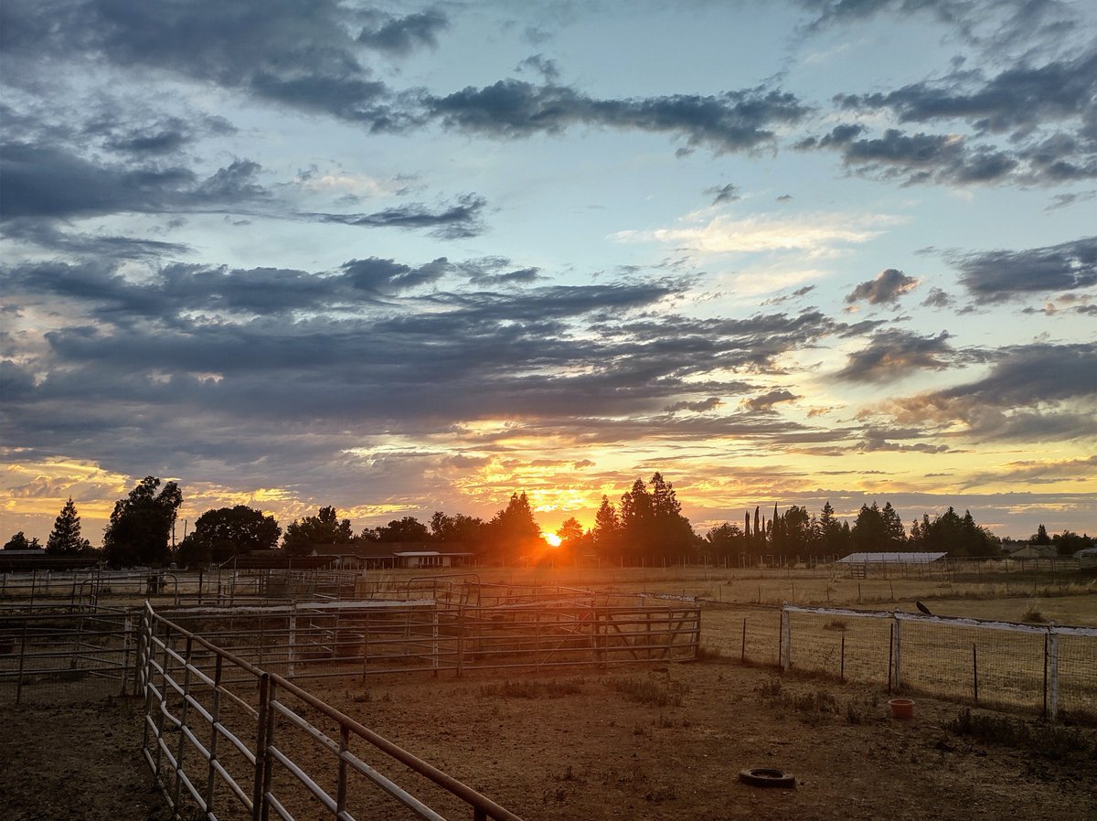 JillianMachovec's tweet photo. Happy Senior Sunset everyone.
With love,
Jillian
#seniorsunset #seniorsunset2020 #seniors2020 #classof2020 #celebrateathome #thatssosheldon #togetherathome #sheldonhighschool #distancelearning https://t.co/ZAq9ssW3Hs