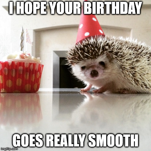  Good morning and Happy Birthday xxx 