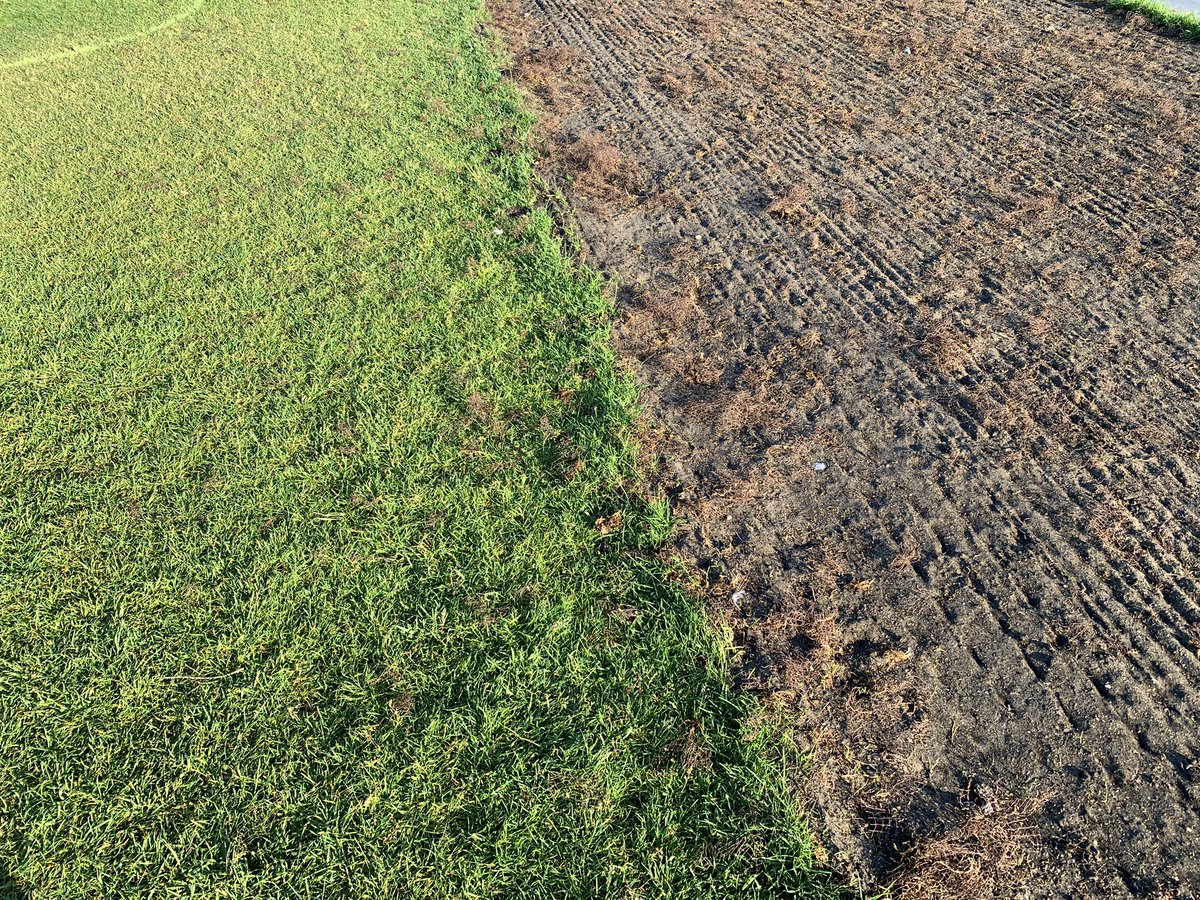 nvdhdn's tweet photo. @020West het grote grasveld #westerpark raakt bezaaid met plastic gaas vw ophogen vijverrand, en dat voor #Pinksterweekend🤔?? https://t.co/TkDl6l7cil