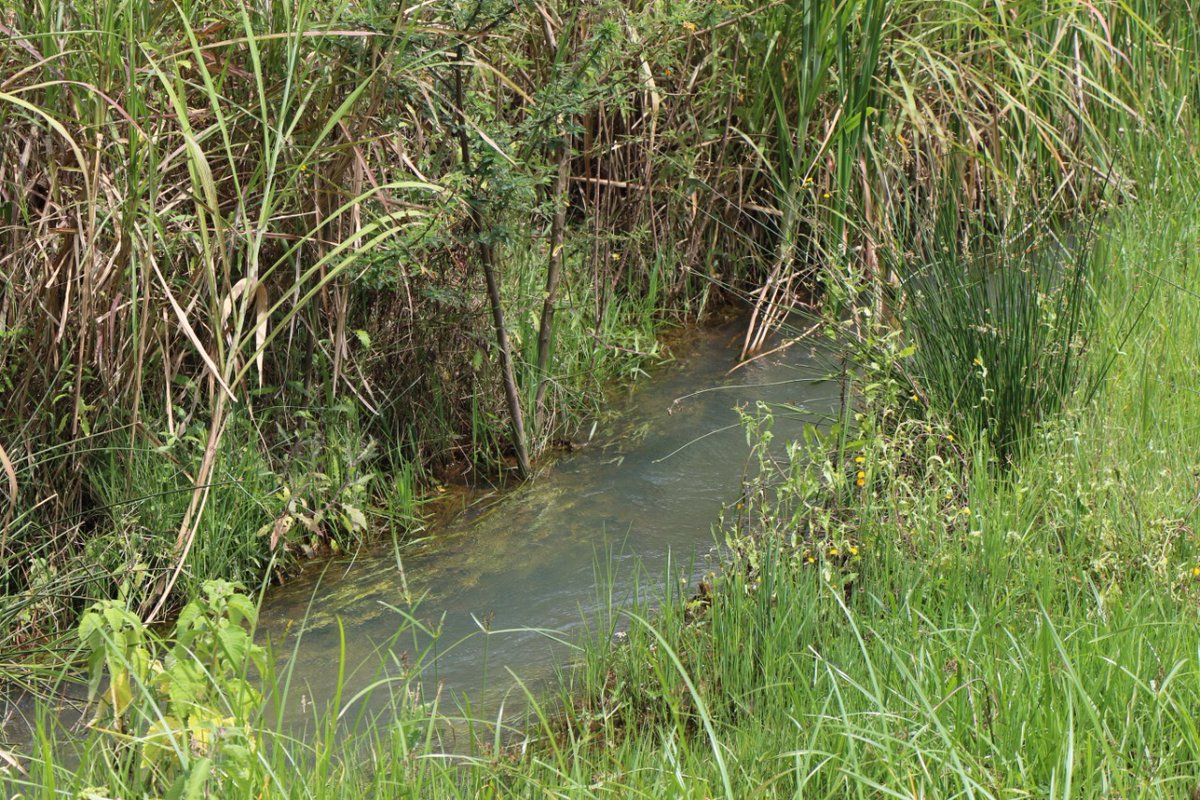 NemaKenya's tweet image. The waters of #NairobiRiver are getting clearer by the day. @NemaKenya is currently coordinating removal of solid waste from the River at Michuki Park. Identification and blocking of pollution points along the Nairobi river and it's tributaries still ongoing @Environment_Ke