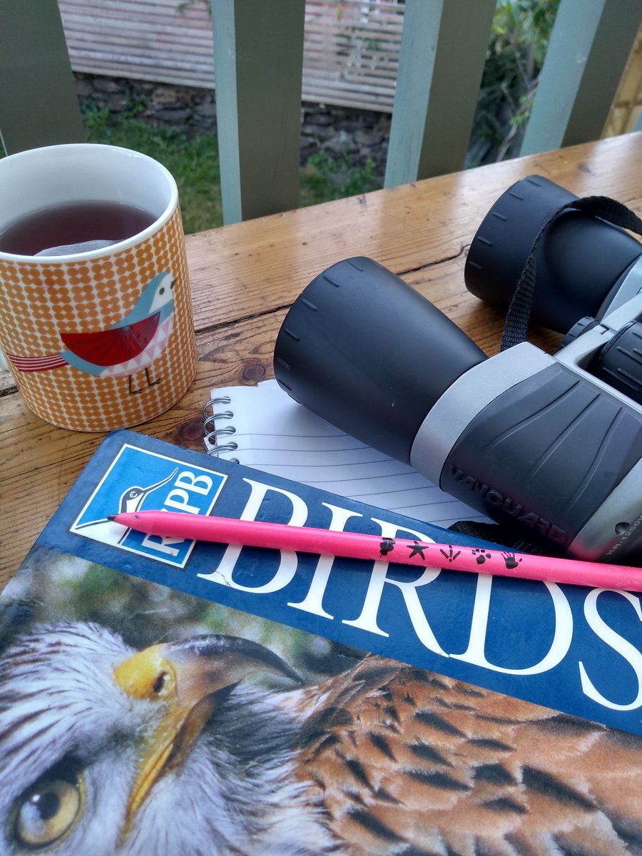 Garden bioblitz ready!! Remember even the common species count 😁 Record what you see in North Wales at cofnod.org.uk  #WNW2020 #WalesGardenBioBlitz <a href="/WBP_wildlife/">Wales Biodiversity</a> <a href="/cofnod/">Cofnod</a> <a href="/NEWBioNet/">bionet</a> <a href="/FCCcountryside/">Cefn Gwlad SyF - FCC Countryside</a>