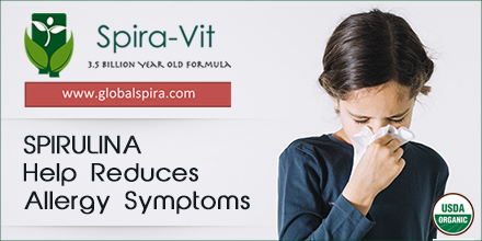 spira_vit's tweet photo. In a study of 127 people suffering from allergic rhinitis, supplementing with 2 grams of #spirulina a day helped reduce common rhinitis #symptoms, like nasal congestion and sneezing.

Buy Spira-Vit on Amazon: https://t.co/0KAlnLZuVI

#spiravit #stayfit #stayhealthy #beatthevirus https://t.co/SoiCBUqDbJ