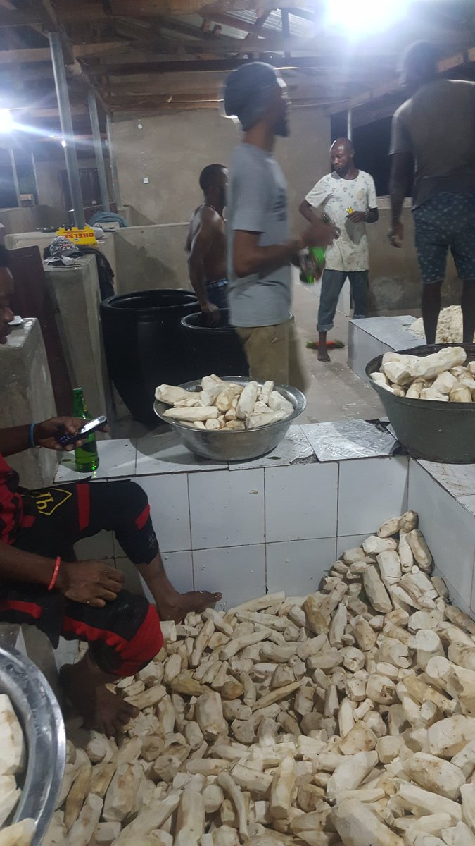 Misterkolade's tweet photo. On an average we are able to process 6 tons of cassava daily, sometimes we work with 50 youths and women or more to achieve this result. @FarmsHarlow we are happy to empower youths and women to achieve good result. https://t.co/ZT32QF1p6z