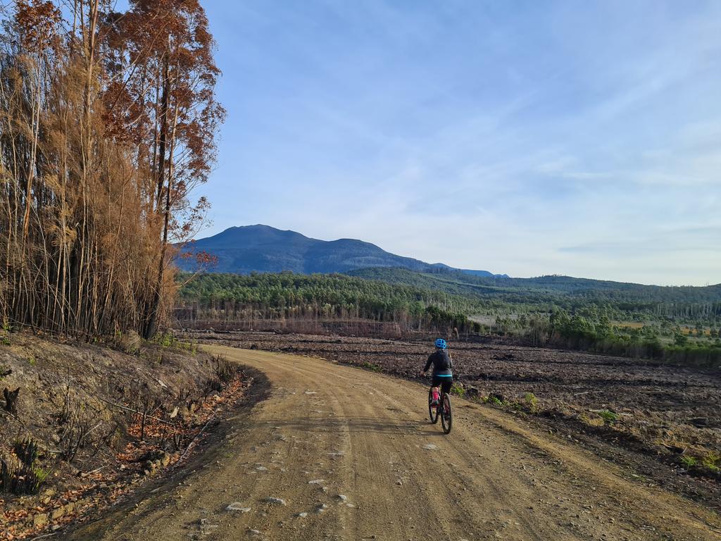 KelseyOnScience's tweet photo. Day one of @nature_trackers #WhereWhereWedgie 2020 ✅
32km bike + 3km canoe! Wedgie count: 1! 🎉 thanks for paddling @DougieSquire #CitizenScience https://t.co/MO8nu7y420