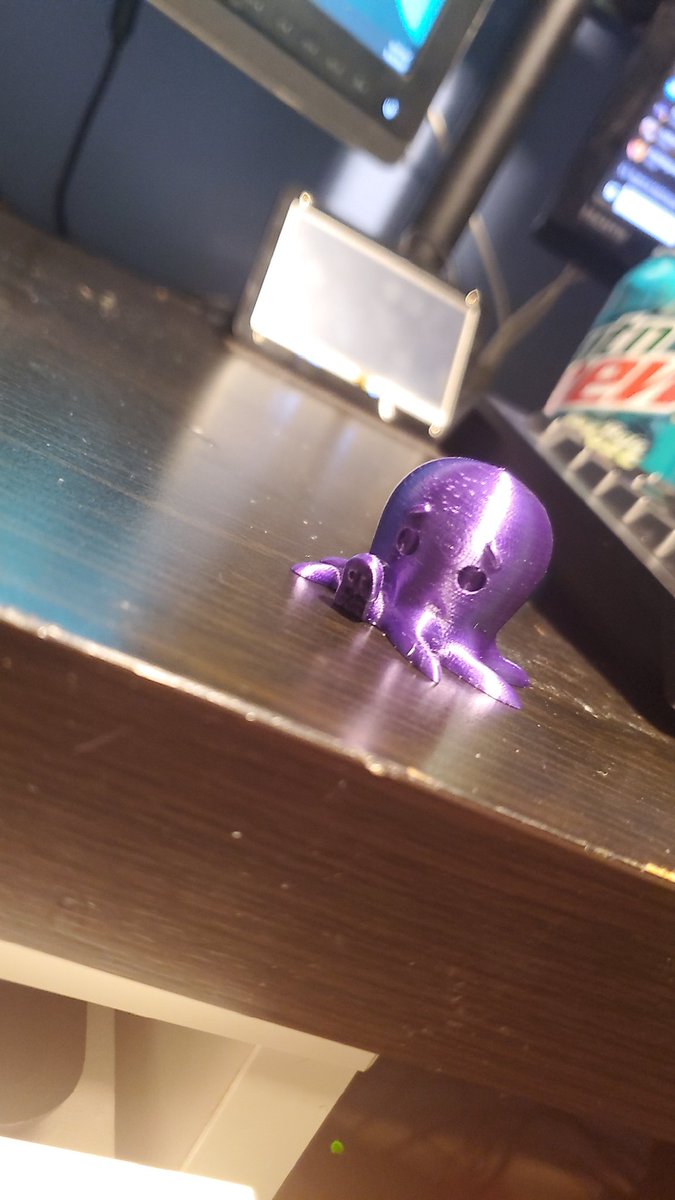 ZaddySquid's tweet photo. So who wants their own little squid? https://t.co/VGdtnLxhVz