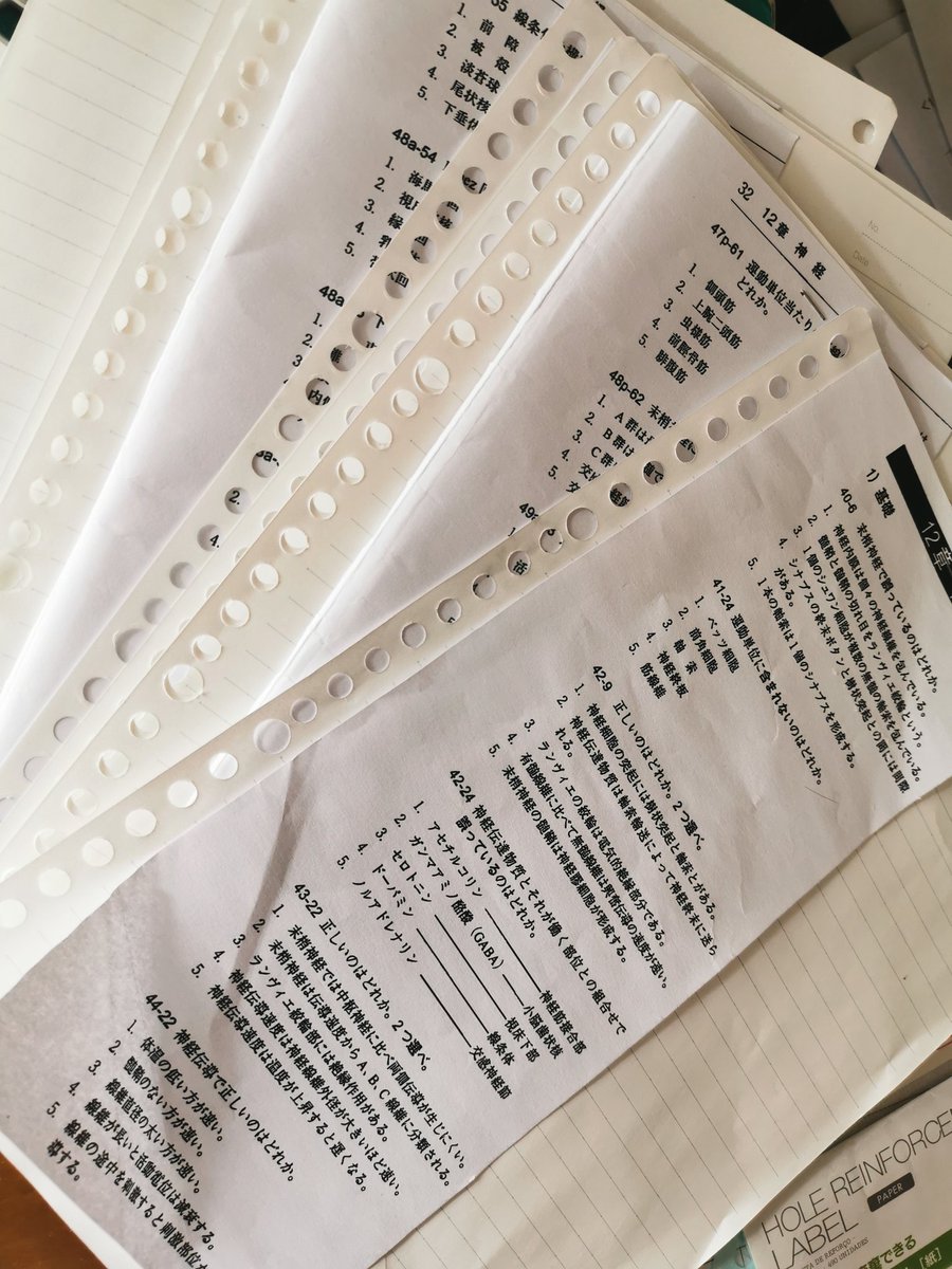 تويتر 前ちゃん على تويتر 心電図は心室細動くらいしか見分けつかんしリンパはゲシュタルト崩壊するしグルコースてセクロースかよくそ Https T Co Sjycvuwn5f