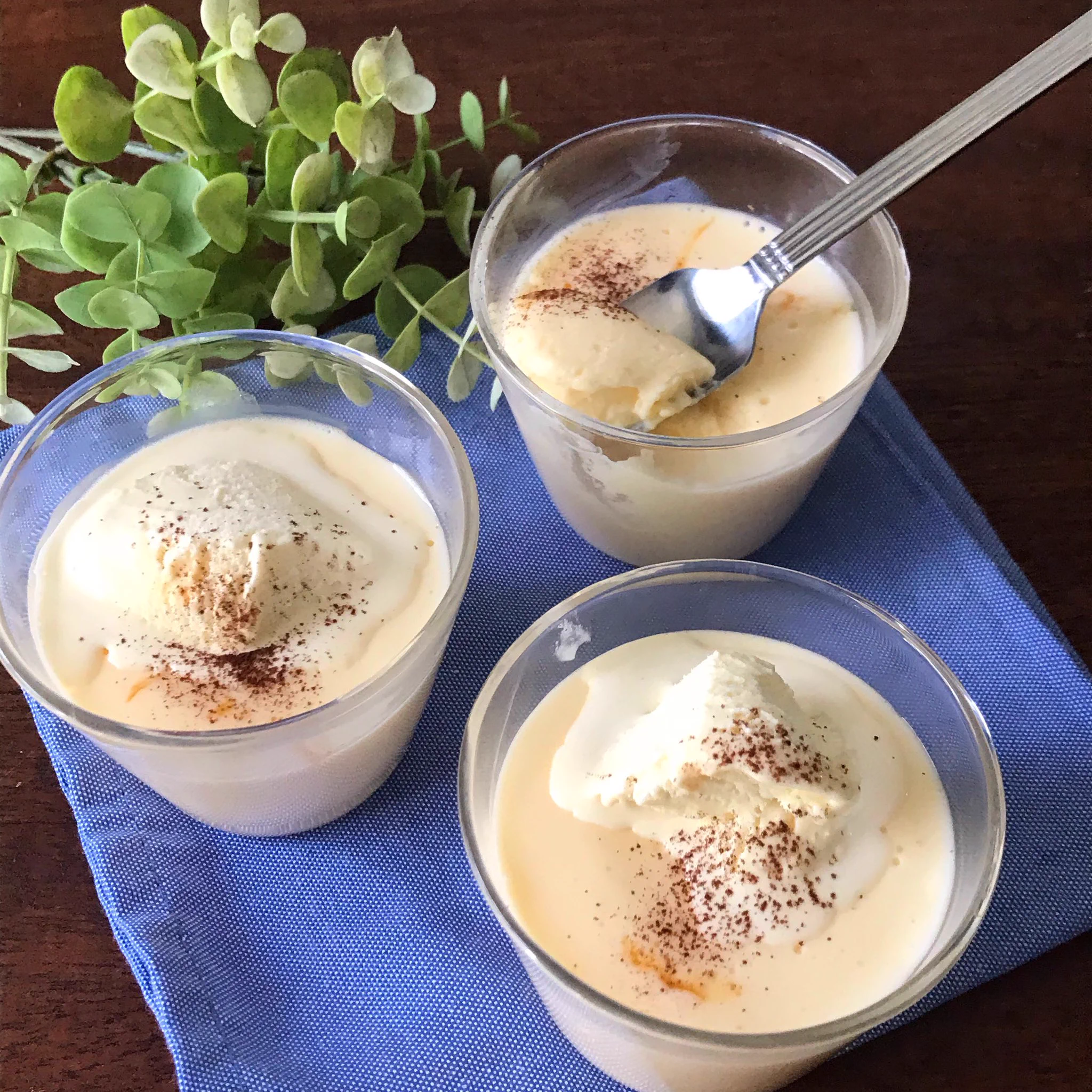 スライスチーズとバニラアイスとゼラチンでレアチーズケーキになる？これならすぐに試せそう！