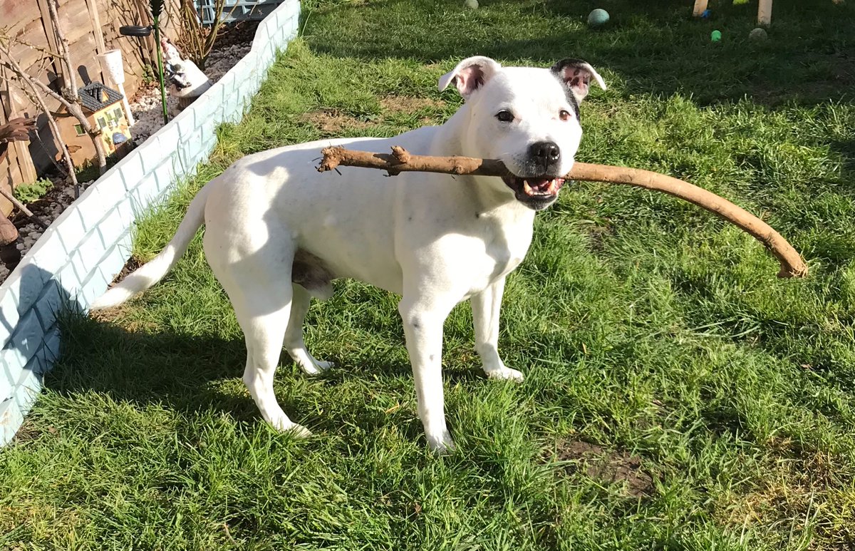 Frankie Aged 14 #VeryMeRewards  <a href="/VodafoneUK/">Vodafone UK</a>