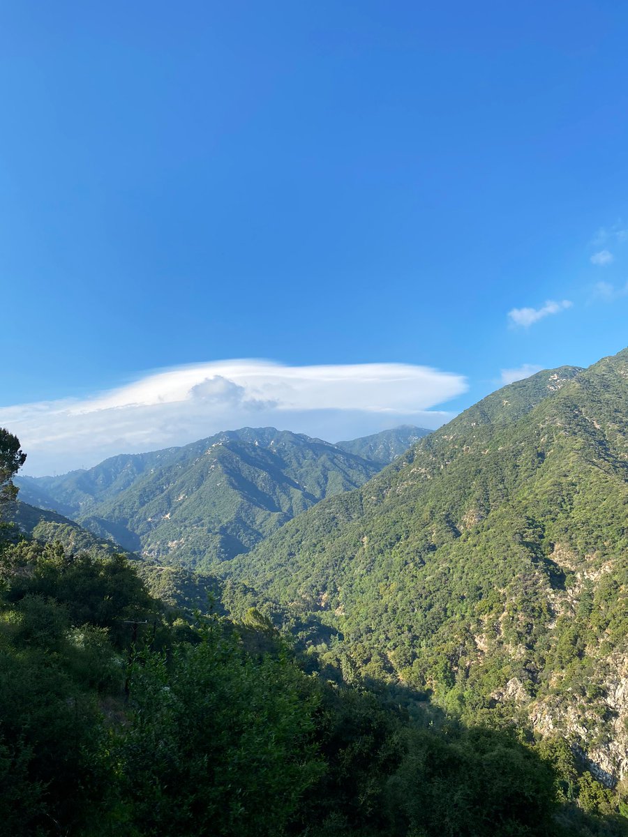 crxistian's tweet photo. surrounded by beauty, just gotta go find it https://t.co/e4nhnJJh8J