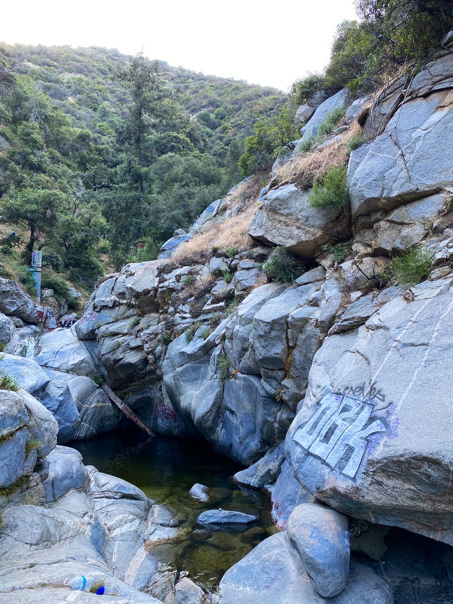 crxistian's tweet photo. surrounded by beauty, just gotta go find it https://t.co/e4nhnJJh8J