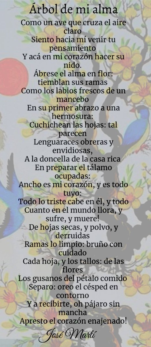 Prigamo's tweet photo. Buenos días buena gente, José Martí (1853-1895) poeta y político , fundador del Partido Revolucionario Cubano. Árbol de mi alma.
#BuenosDiasATodos
#BuenosDiasMundo
#FelizSábado
#FelizFinde
#CafeYPoesia 🕘 ☕ 📖 🌹🍀♥️ https://t.co/DO5n25PTi3