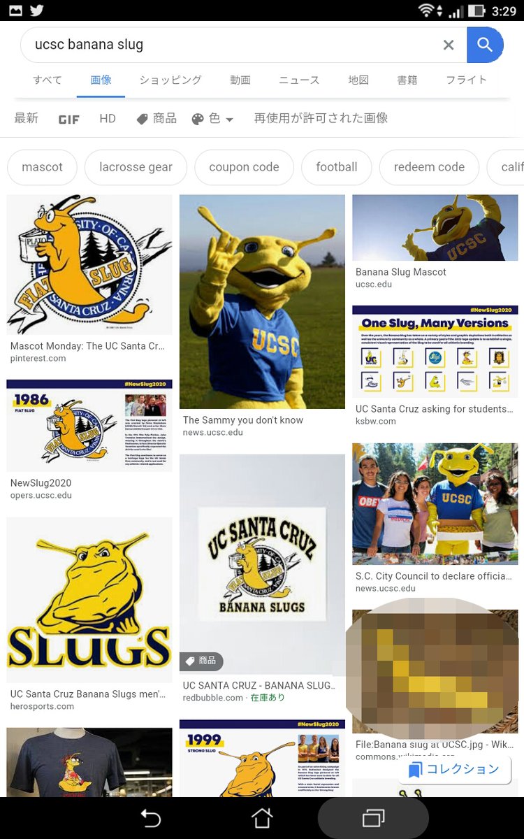 個人的に生涯で最も衝撃を受けたマスコットは、カリフォルニア大学サンタクルス校(UCSC)のバナナナメクジ(Banana  Slug)なのですが、先日久々に検索したらなんとリニューアル中🗳️ あのナメクジの歴史的瞬間…🌟 複数回投票で絞り込まれた最終候補がカッコいい  ナメクジ ..., image size:750x1200