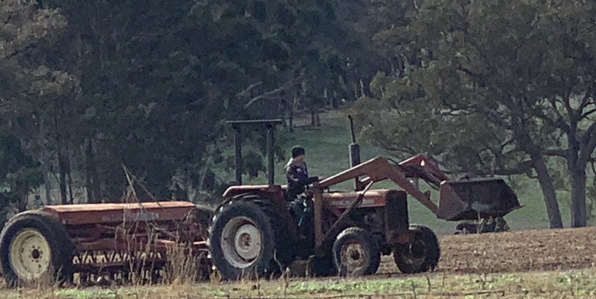 Koojyanup2002's tweet photo. 15 year old neighbours kid wanted to crop front paddock at winery for hay. Gotta give it to him. I sprayed it. He has ripped it up, worked it back and seeded it. All Old school and he loved it. Offered him a tractor with a cab and he didn’t want it. 🤷‍♂️ https://t.co/ap6HLdizGh